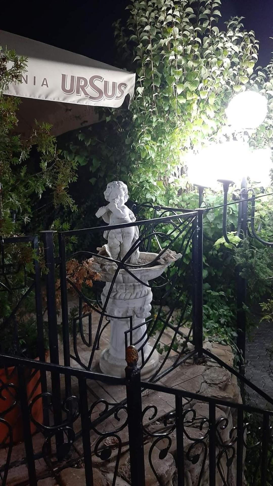 Hotel Casa Boiereasca Iasi Exterior foto